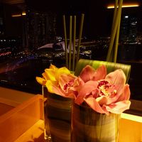 追加されたピンクの蘭と夜景