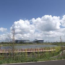 修景池 (前方が中央図書館など)