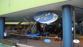 ワンダードロップは、4人乗った時の総重量やその時の風向きにより、1日数回、びしょぬれ危険度がアップするそんな乗り物になっています