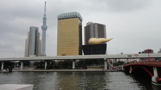 格好の散歩道です