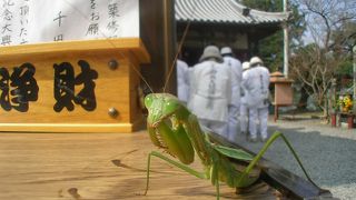 四国八十八箇所霊場の第六十七番札所