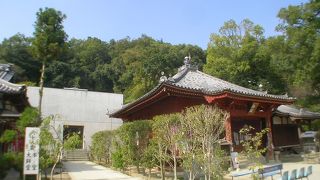 琴弾公園に続きます