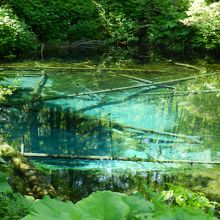 美しい色の池です！！