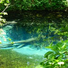 向こう側からのアングル