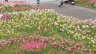 新潟のお土産はここで揃います。