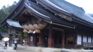 締縄の上にお金が乗ると縁が結ばれる？