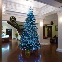 クリスマスシーズンに訪れた為、ロビーにツリーが飾ってあった。