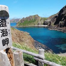 みなさん撮られるショット