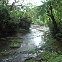 パワーチャージ♪