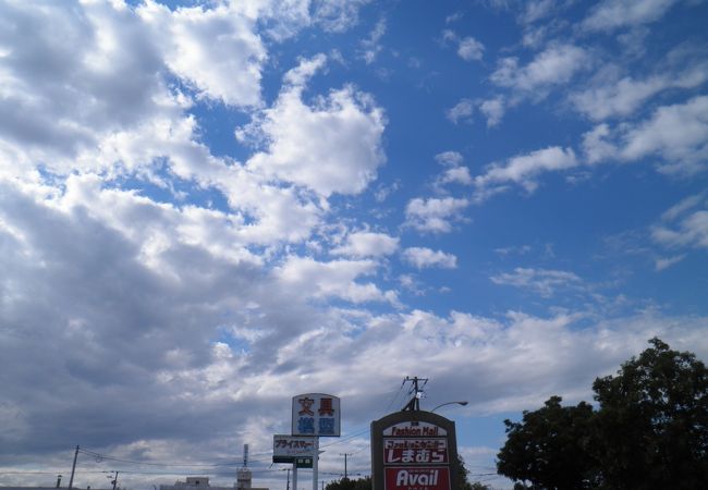 鉄道模型が豊富