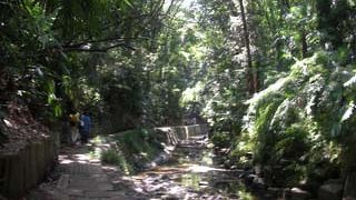 都会の中に緑の残る渓谷