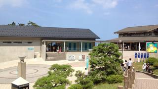 比較的静かで充実した水族館