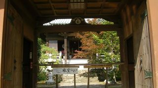 小さな観音様の像が沢山あります