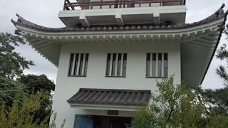 佐治氏が治めていた城