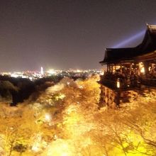 京都の夜景も見えます。