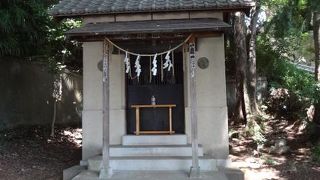 神田川沿い、木立の中にあります