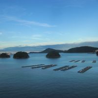 ロビーからの景色