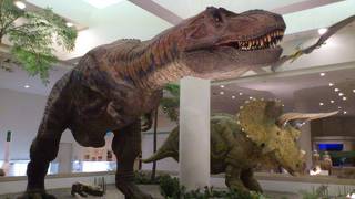 愛媛県総合科学博物館