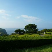 伊豆大島の旅～大島ゴルフクラブからの絶景　民宿の方に勧められ・・・