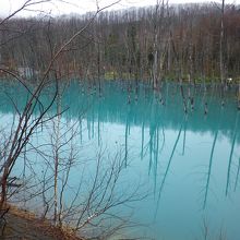 綺麗な青！！！