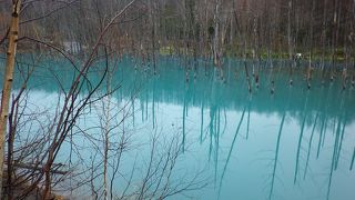 アップルでも壁紙に採用された青い池！