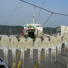 市場は港のすぐそば、船着き場にイカが干してある