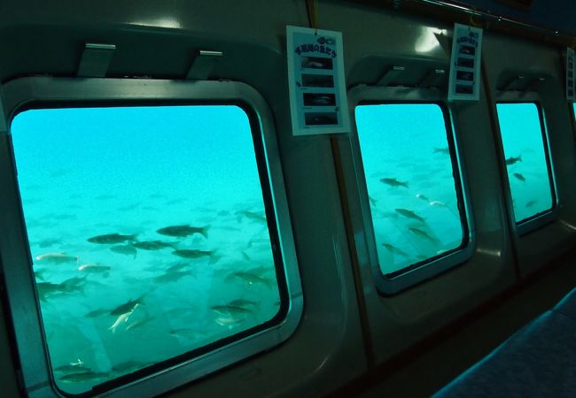 支笏湖観光船 クチコミ アクセス 営業時間 支笏湖 フォートラベル