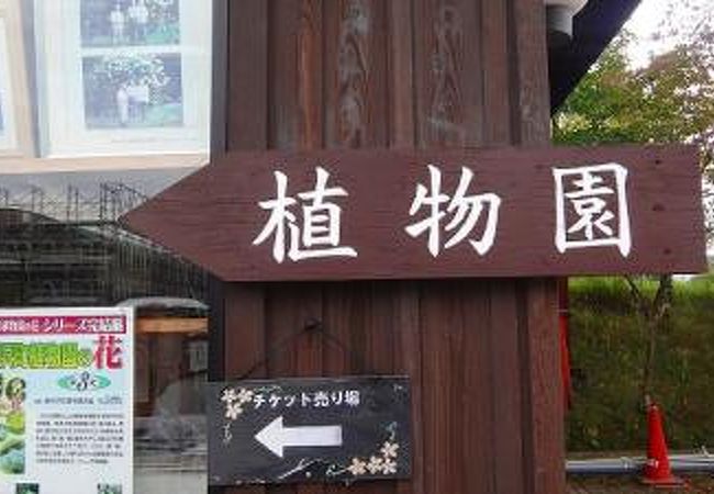 軽井沢町植物園 クチコミ アクセス 営業時間 軽井沢 フォートラベル 軽井沢町植物園 クチコミ アクセス 営業時間 軽井沢 フォートラベル