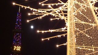 年中楽しめる魅力