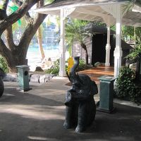 キリマンジャロカフェの入り口です。朝食バイキングはこちら。