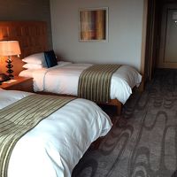 ハイデラックスツイン