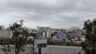 ビルの上の庭園