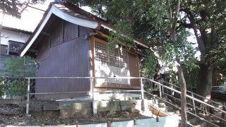 ここ、金毘羅さん