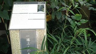 江島展望デッキからすこし行った場所です!!