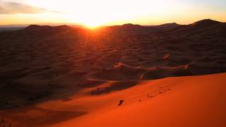 星降る夜にサハラをお散歩