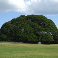 交通費二人で往復５００円で行ってきました。路線バス利用