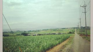 朝ドラマの舞台のシュガーロード