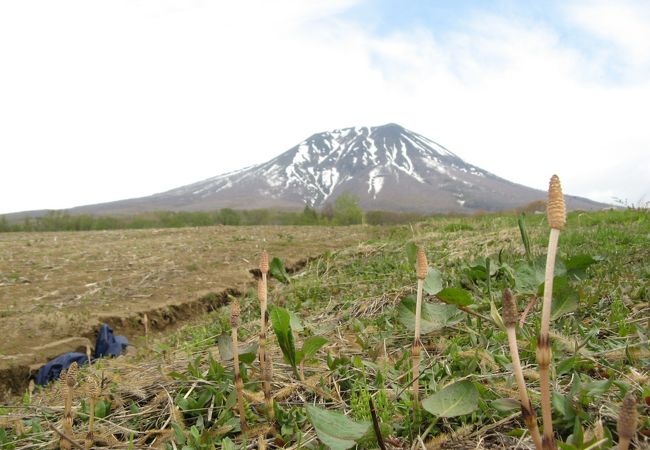 岩木山(津軽富士)