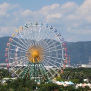 家族で１日遊べます