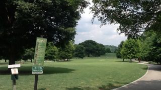 時間に余裕があったらピクニックがしたい。