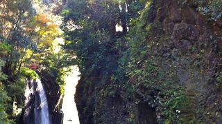 ボートは乗るべき！