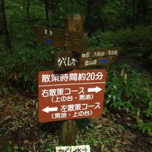 舗装されていない散策ルートはハイキングに最適