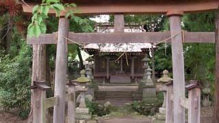 参道の両側に池があります