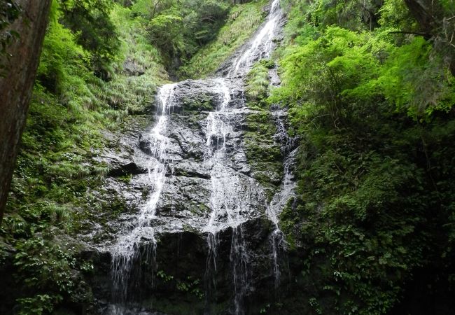 水量こそ多くありませんが、神秘的な雰囲気がイイ感じの滝です