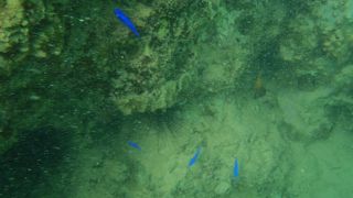 人気スポットだけに・・・