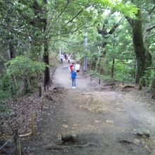 意外と険しい。