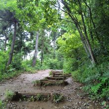 結構傾斜がありました。