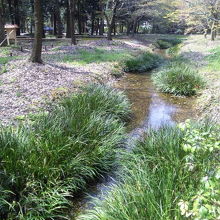 小川癒されました。