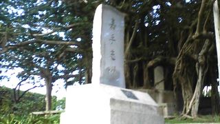 きれい！！広い！！