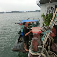 漁師の船　高い　けど、おいしいらしい。（私は食べれない。）